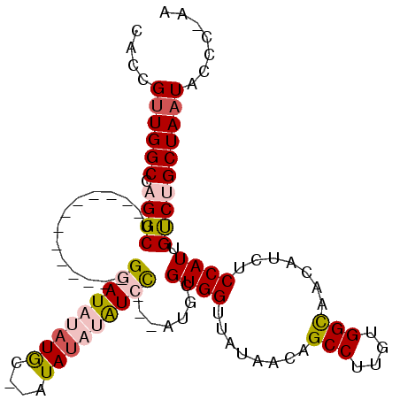 secondary structure
