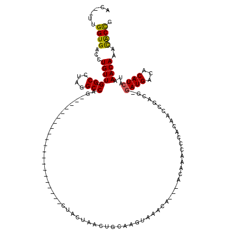 secondary structure