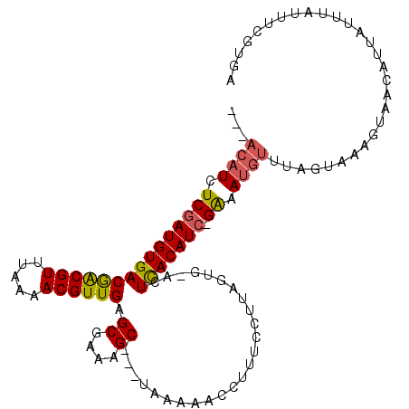 secondary structure