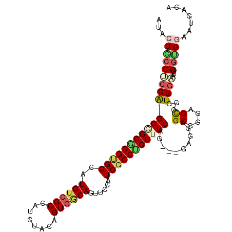 secondary structure