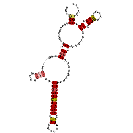 secondary structure