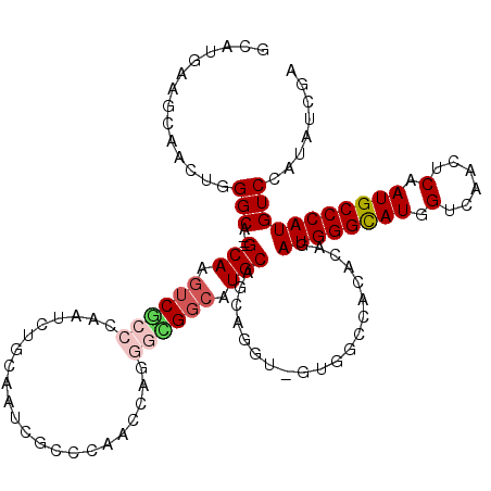 secondary structure