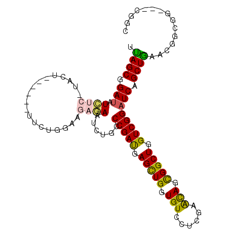 secondary structure