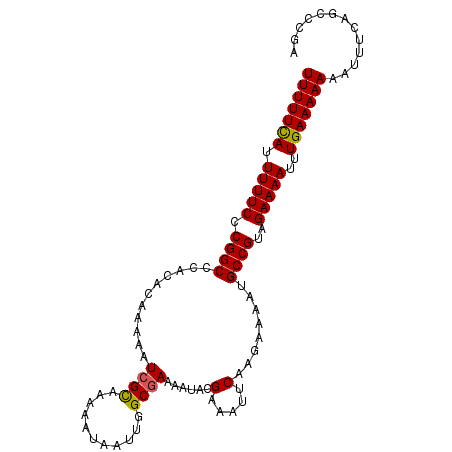 secondary structure