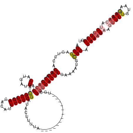 secondary structure