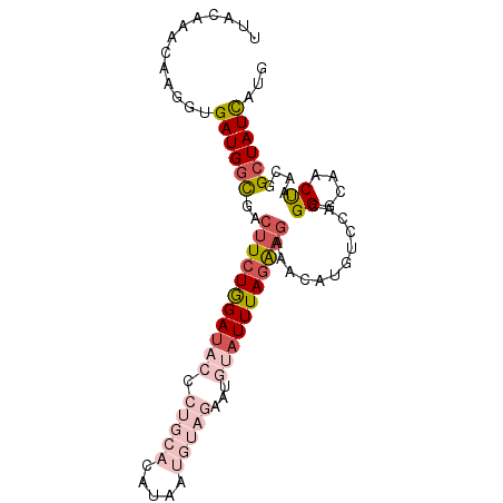 secondary structure