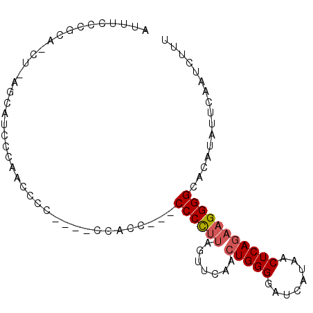 secondary structure