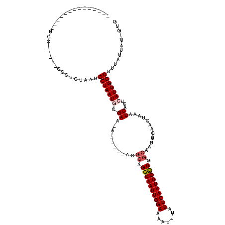 secondary structure