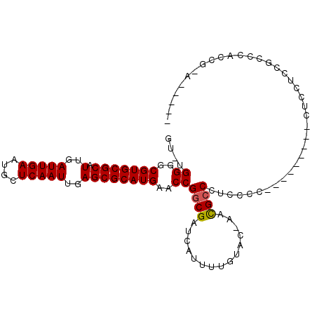 secondary structure