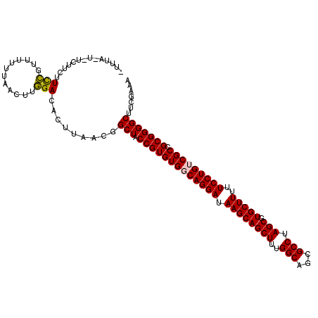 secondary structure