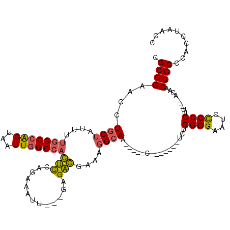 secondary structure