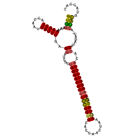 secondary structure