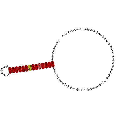 secondary structure