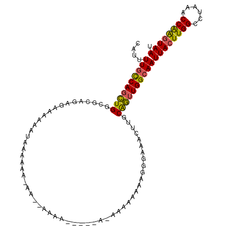 secondary structure