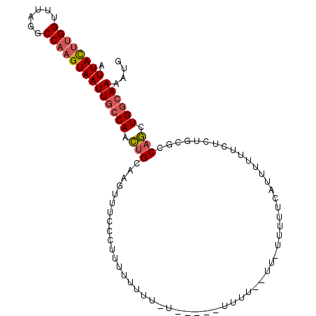 secondary structure