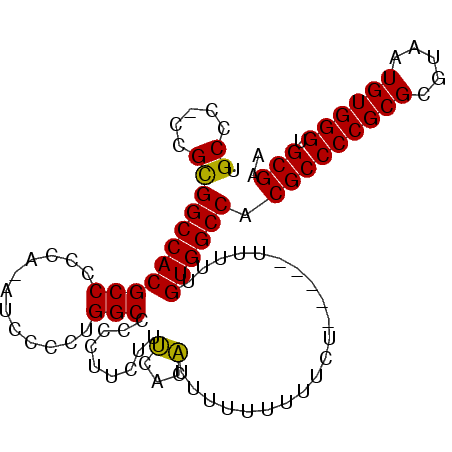 secondary structure