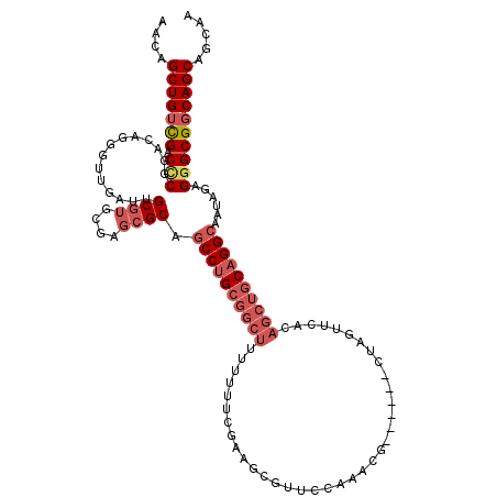 secondary structure