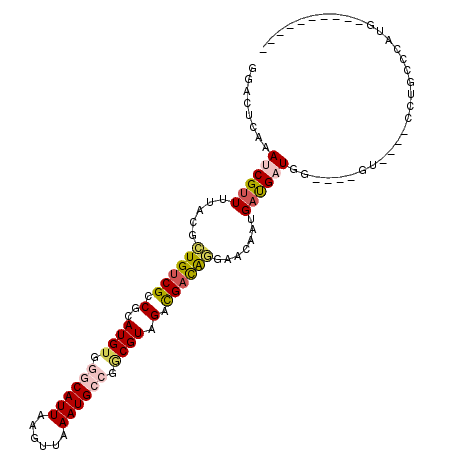secondary structure