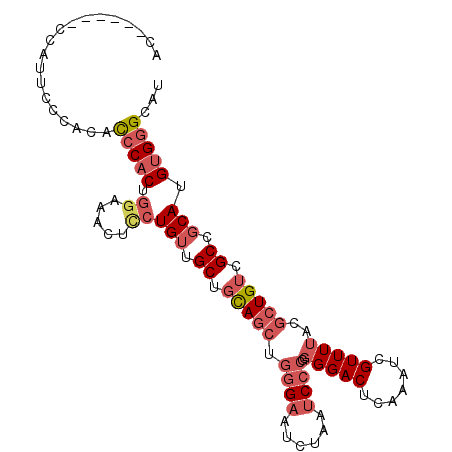 secondary structure