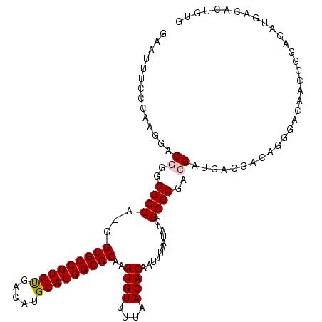 secondary structure