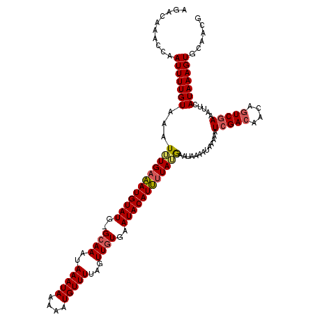 secondary structure