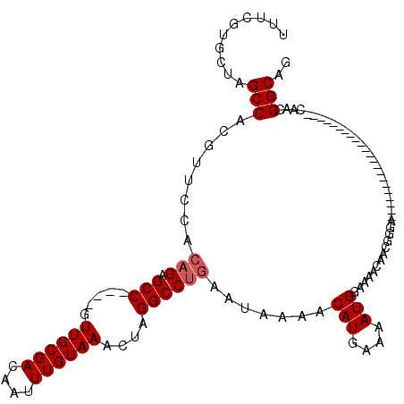 secondary structure