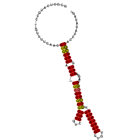 secondary structure