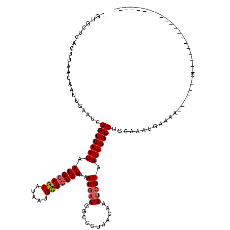 secondary structure