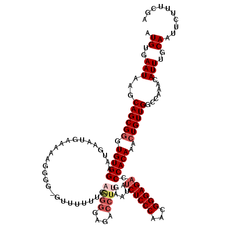 secondary structure