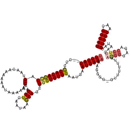 secondary structure