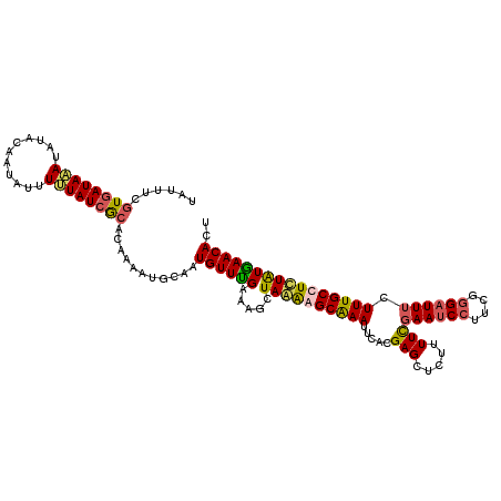 secondary structure