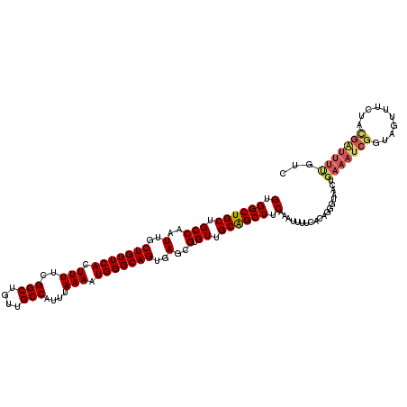 secondary structure
