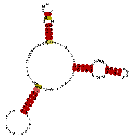 secondary structure