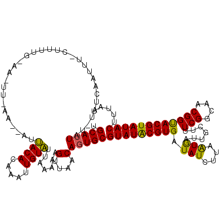 secondary structure