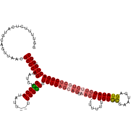 secondary structure