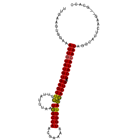 secondary structure