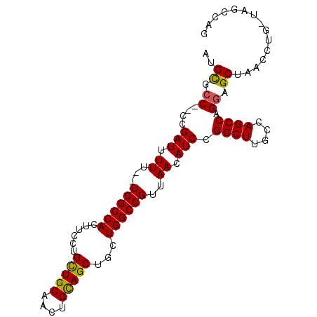 secondary structure
