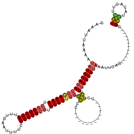 secondary structure
