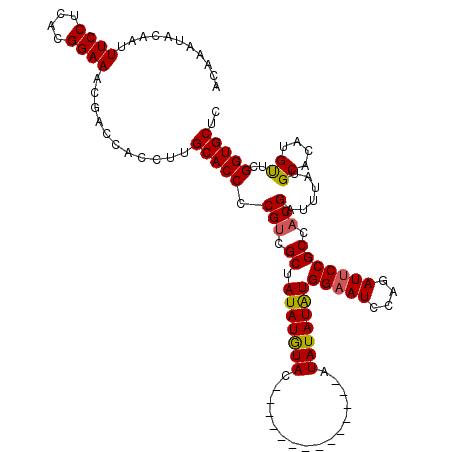 secondary structure