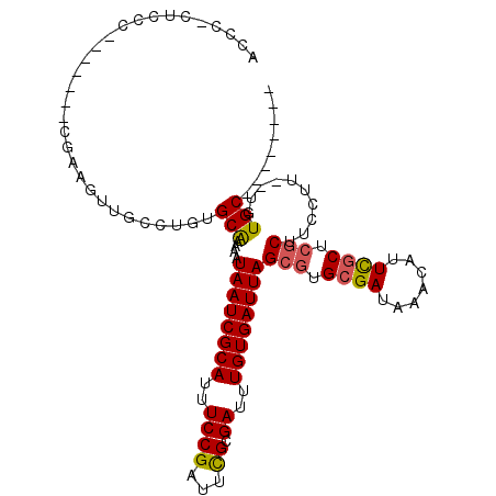secondary structure