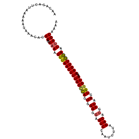secondary structure