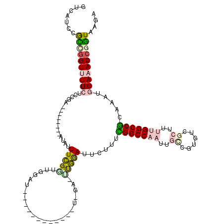 secondary structure