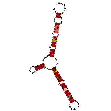 secondary structure