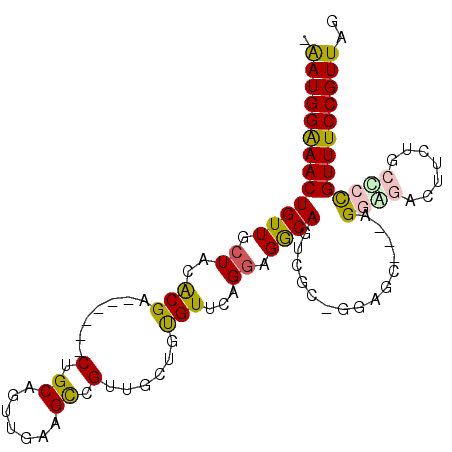 secondary structure