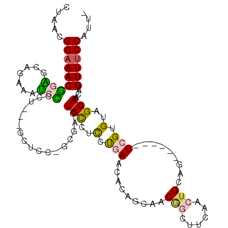 secondary structure