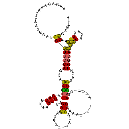 secondary structure