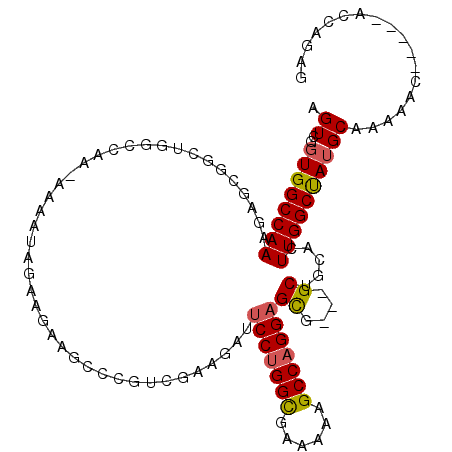 secondary structure