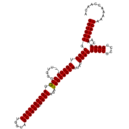 secondary structure