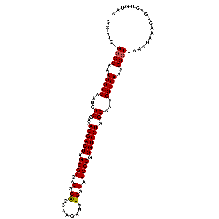 secondary structure