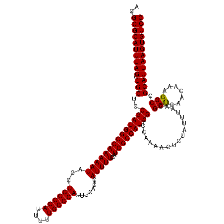 secondary structure